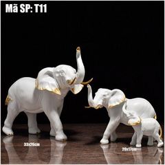 GIA ĐÌNH VOI T11