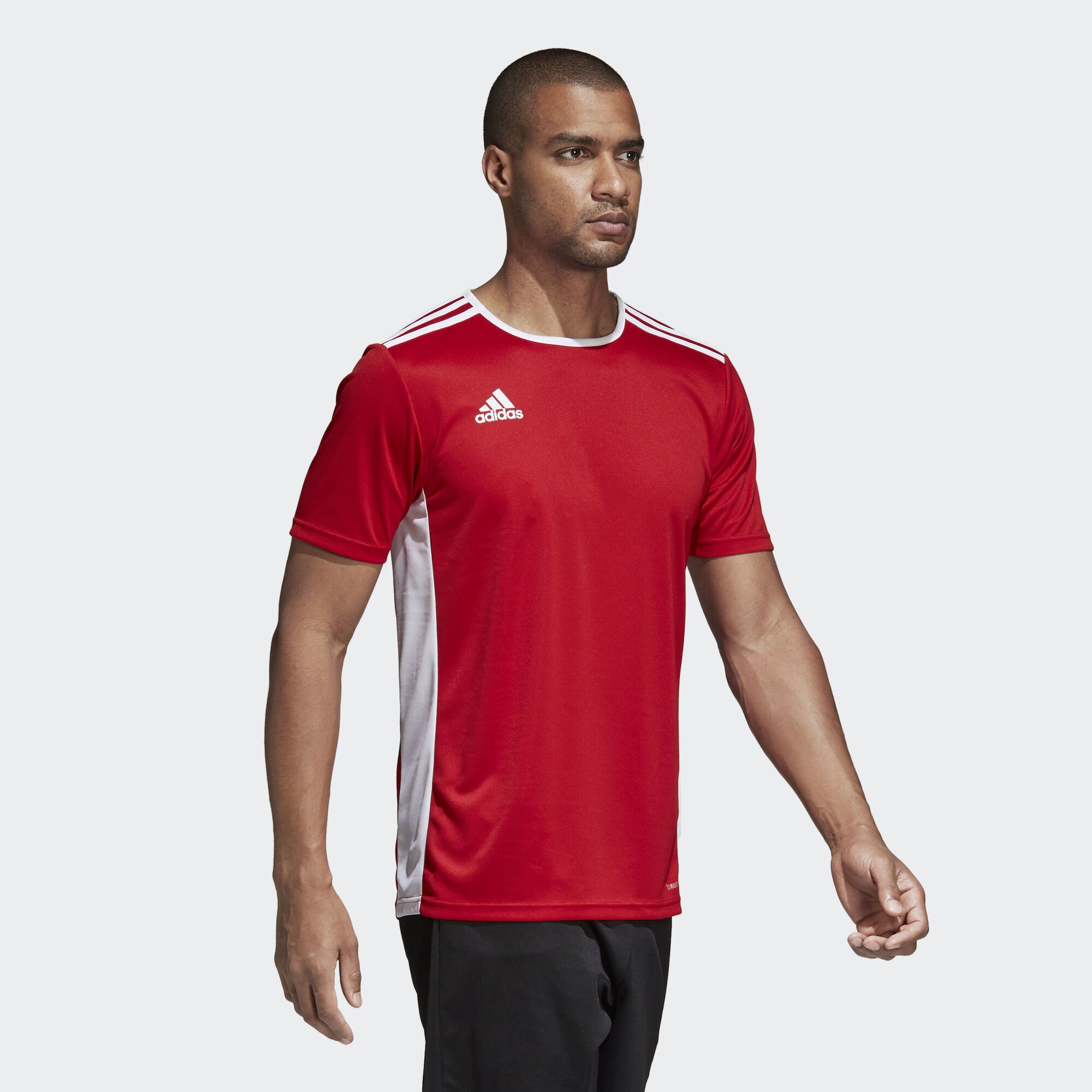 ÁO T-SHIRT ADIDAS CF1038 – Adidas chính hãng