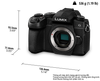 Lumix G95 Body