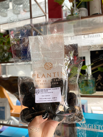 Fresh Summer Truffle Tuber Aestivum Sz ~ 20 - Platin