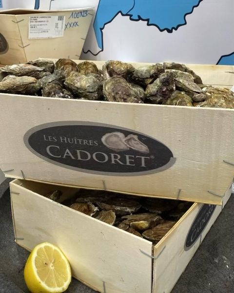 Hàu Tươi Ướp Lạnh Cadoret Nhập Khẩu Pháp - Belon N3 25Pc Oysters Brittany (1.38Kg)
