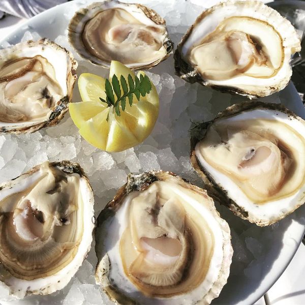 Hàu Tươi Ướp Lạnh Cadoret Nhập Khẩu Pháp - Belon N3 25Pc Oysters Brittany (1.38Kg)