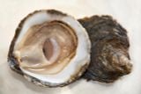 Hàu Tươi Ướp Lạnh Cadoret Nhập Khẩu Pháp - Belon N3 25Pc Oysters Brittany (1.38Kg)