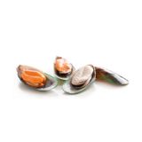 Vẹm Nửa Vỏ Đông Lạnh Greenshell Mussel Halfshell