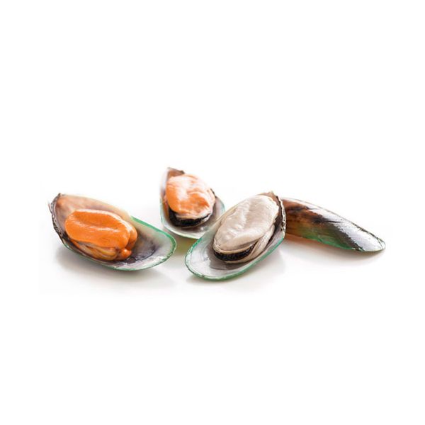 Vẹm Nửa Vỏ Đông Lạnh Greenshell Mussel Halfshell