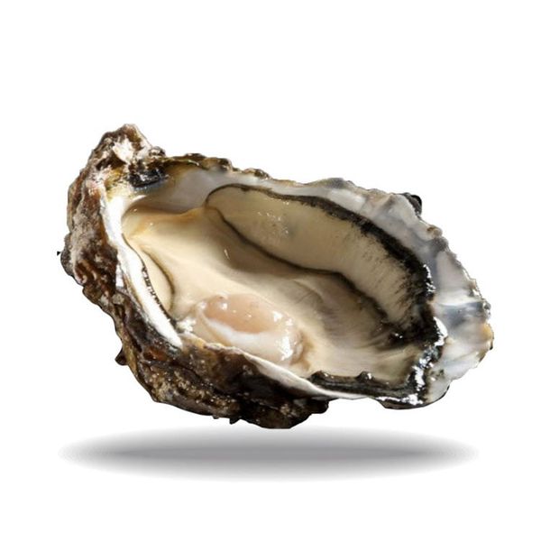 Hàu Tươi Ướp Lạnh Cadoret Nhập Khẩu Pháp - Black Pearl N3 12Pc Oysters Brittany (0.9Kg)