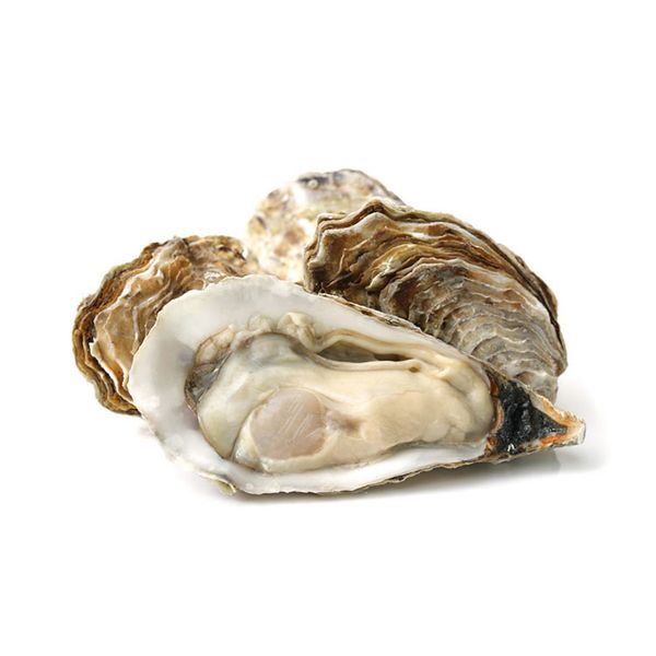 Hàu Tươi Ướp Lạnh Cadoret Nhập Khẩu Pháp - Fine 24 N3 Oysters Ireland (2Kg)