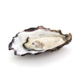 Hàu Tươi Ướp Lạnh Cadoret Nhập Khẩu Pháp - Fine 96 N3 Oysters Normandy (8Kg)