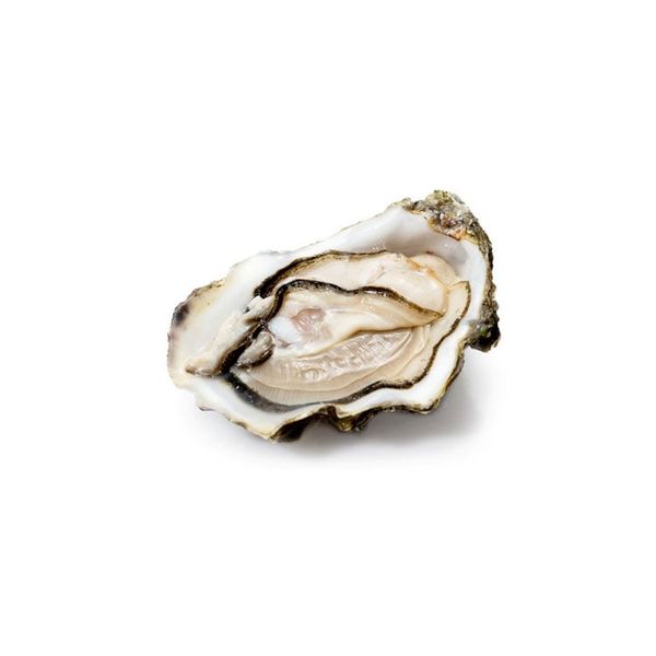 Hàu Tươi Ướp Lạnh Cadoret Super Special Oysters Normandy Size N1 (1.75Kg)