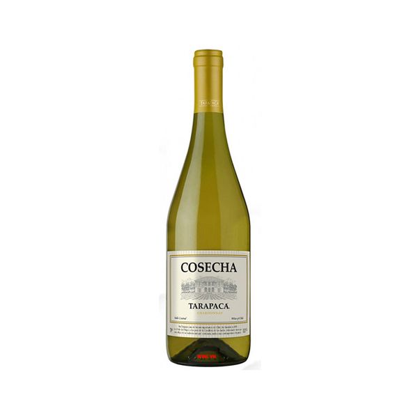 Rượu vang Trắng Chile Tarapaca Cosecha Chardonnay - 13% - 750ML