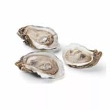 Hàu Nửa Vỏ Đông Lạnh - Oysters N4 Half Shell Brittany Frz 48Pc (1.2Kg)