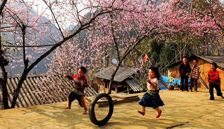 Xuân về trên cao nguyên đá - Ảnh: LONG NGUYEN