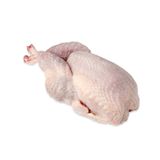 Chim cút nguyên con đông lạnh - Frozen quails ovenready ~300-500g/2pcs/tray