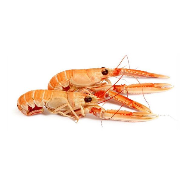 Tôm Hùm Na Uy - Langoustine Norway Frz 12-15  (1.35kg) - Palamos