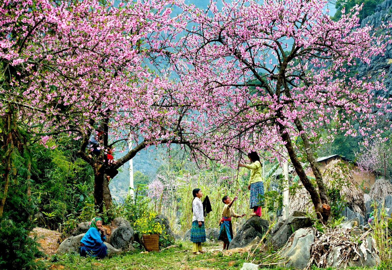 Sapa - mùa xuân về - Ảnh: Hạnh Đào