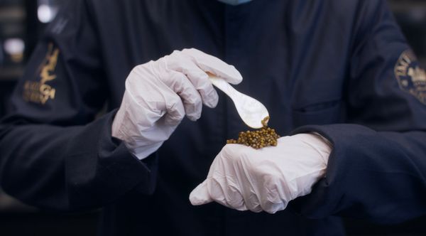 Trứng Cá Tầm Caviar Selection 50G - Imperial