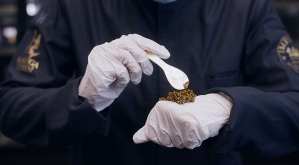 Trứng Cá Tầm Caviar Baerii 30G - Imperial