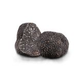 Nấm Truffle Đen Nguyên Củ Đông Lạnh (100g) - Plantin Winter Black Truffle