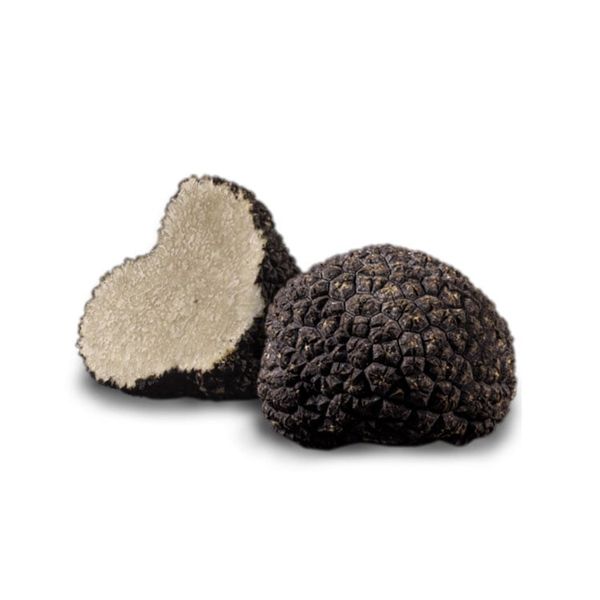 Nấm Truffle Đen Nguyên Củ Đông Lạnh (500g) - Plantin Summer Black Truffle