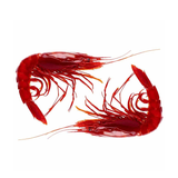 Tôm Đỏ Carabineros D'Azus Size 8/10 Con/Kg