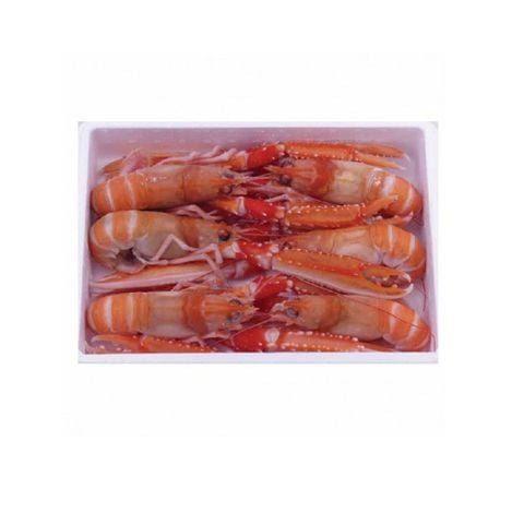 Tôm Hùm Đông Lạnh Na Uy - Langoustine Norway Frz 12-15  (1.35kg) - Palamos