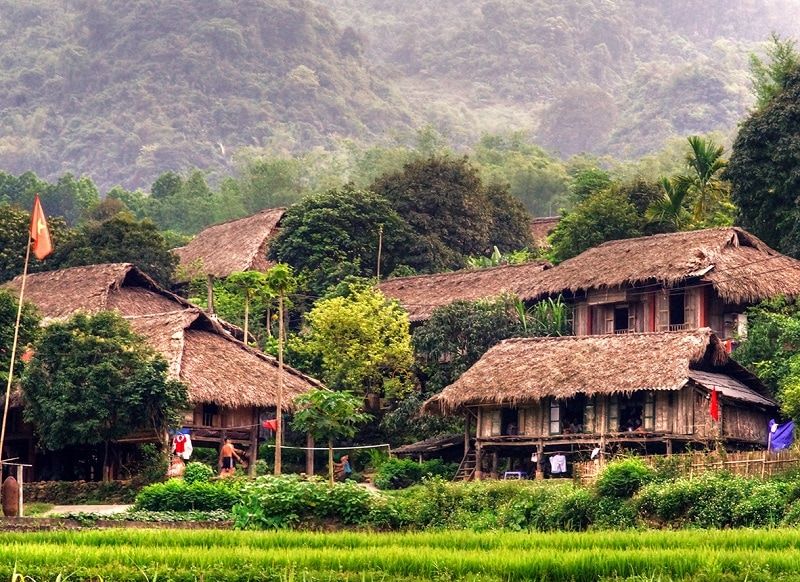 [MỘC CHÂU 3N2Đ ] Mùa Thu Chiêm Ngưỡng Hoa Cải Trắng Thung Lũng Nà Ka | Cầu Kính Bạch Long