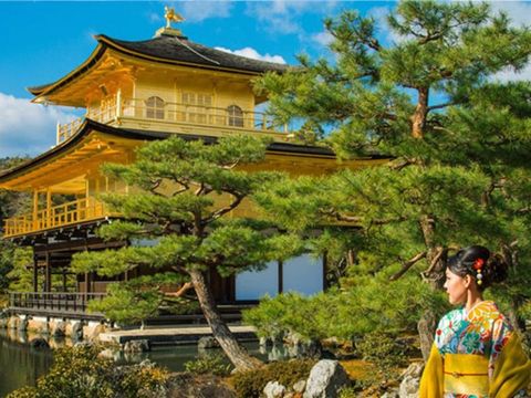 KHÁM PHÁ NHẬT BẢN MÙA HÈ RỰC RỠ 6N5Đ | OSAKA – KYOTO – NAGOYA – PHÚ SĨ – TOKYO