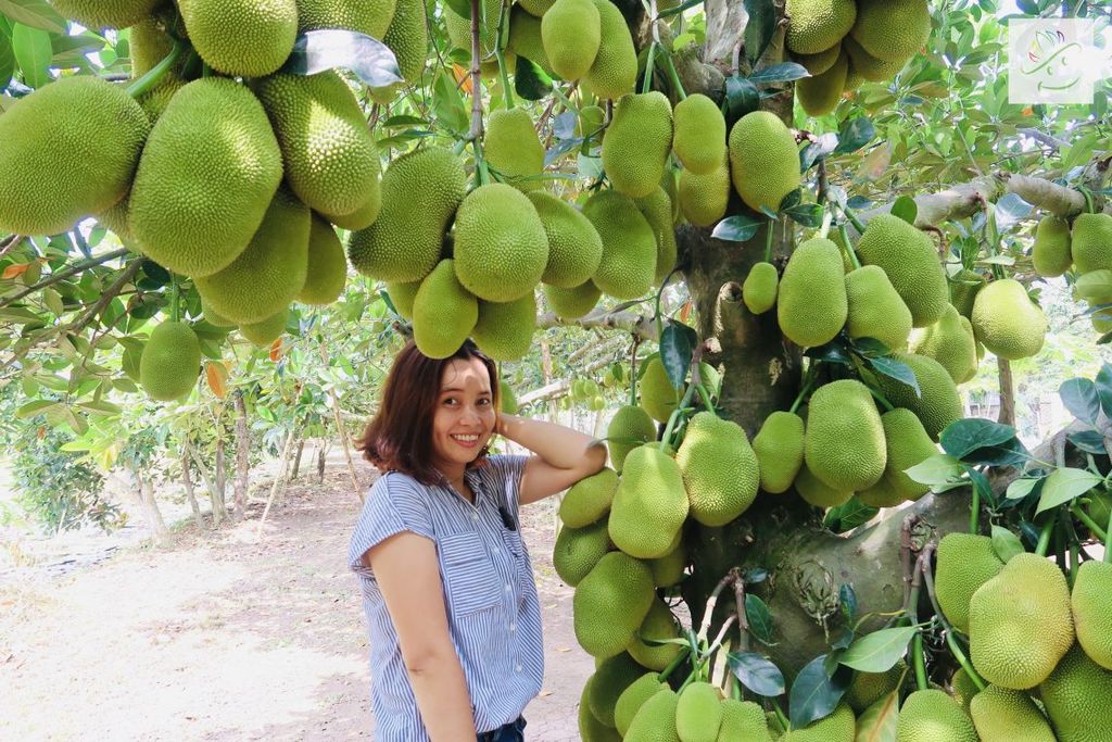 [CẦN THƠ 2N1Đ] Tham Gia Lễ Hội Bánh Dân Gian | Khám Phá Khu Du Lịch Ông Đề | Vườn Trái Cây Ba Cống.