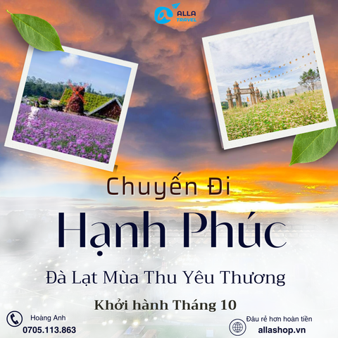 [Đà Lạt 3N3Đ] MÙA THU NGẮM CUNG ĐƯỜNG HOA DÃ QUỲ | CÁNH ĐỒNG HOA TAM GIÁC MẠCH