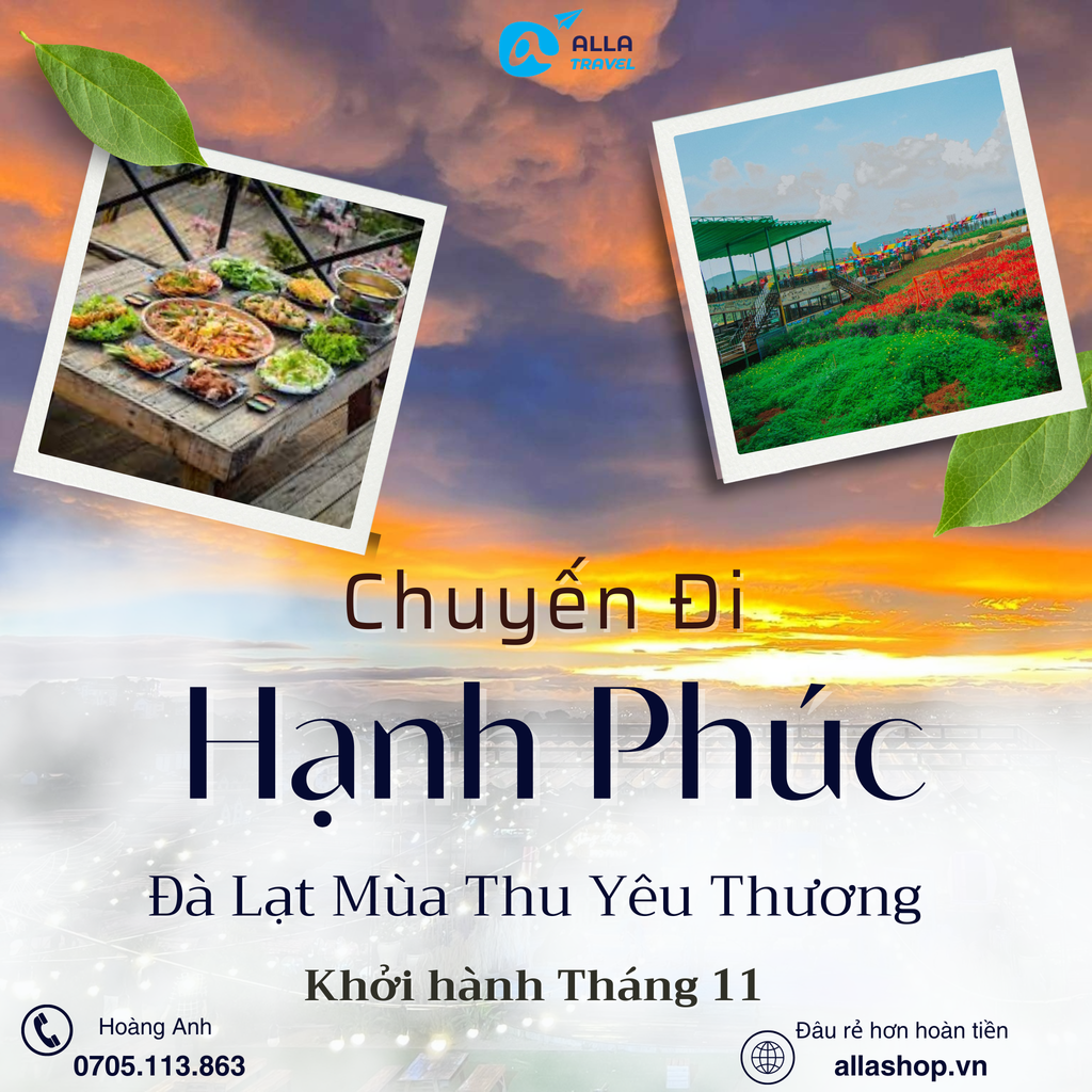 [Đà Lạt 3N3Đ] MÙA THU NGẮM CUNG ĐƯỜNG HOA DÃ QUỲ | CÁNH ĐỒNG HOA TAM GIÁC MẠCH