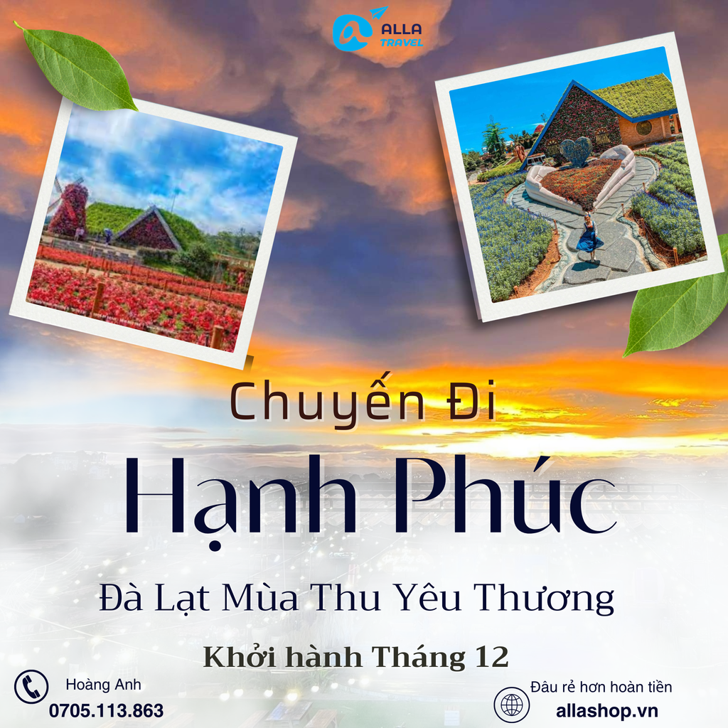 [Đà Lạt 3N3Đ] MÙA THU NGẮM CUNG ĐƯỜNG HOA DÃ QUỲ | CÁNH ĐỒNG HOA TAM GIÁC MẠCH