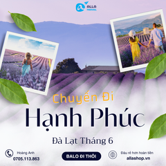 [ĐÀ LẠT 3N3Đ] Tháng  Hè Khám Phá Mùa Hoa Lavender