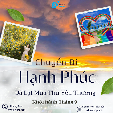 [Đà Lạt 3N3Đ] MÙA THU NGẮM CUNG ĐƯỜNG HOA DÃ QUỲ | CÁNH ĐỒNG HOA TAM GIÁC MẠCH