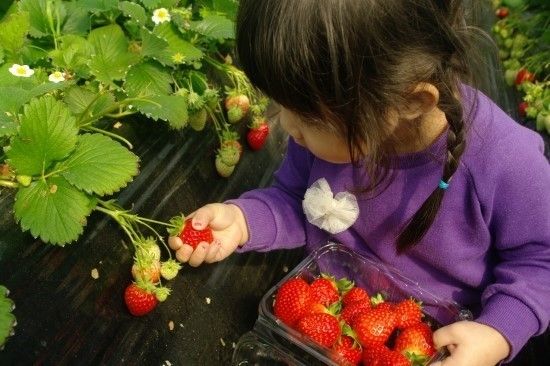 [PHƯỢT MÙA ĐÔNG KOREA ] Ngắm Suối Cheonggyecheon (Lễ hội Ánh sáng Mùa đông)