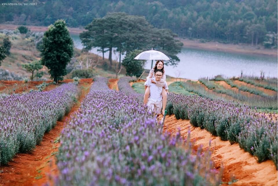 [ĐÀ LẠT 3N3Đ] Tháng  Hè Khám Phá Mùa Hoa Lavender