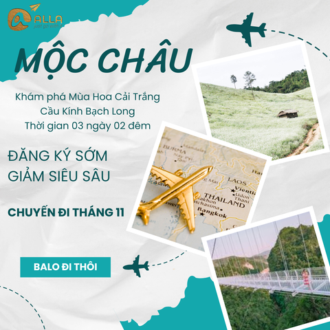 [MỘC CHÂU 3N2Đ ] Mùa Thu Chiêm Ngưỡng Hoa Cải Trắng Thung Lũng Nà Ka | Cầu Kính Bạch Long