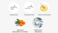[KEM NÁM NGÀY & ĐÊM] Đánh Bay Nám Chiết Xuất Vitamin B & C DEOPROCE Double Care Mela Vita Cream Day & Night 150ml