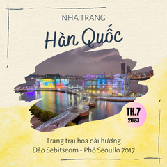 [MÙA HÈ KOREA BAY NHA TRANG] Đảo Sebitseom - Phố Seoullo 7017 - Trang trại hoa oải hương