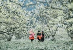 [MAI CHÂU 4N3Đ ]Ngắm Nhìn Cao Nguyên Mộc Châu Mùa Hồng Chín Đỏ | Mùa Hoa Cải Trắng | Đèo Thung Khe Mai Châu