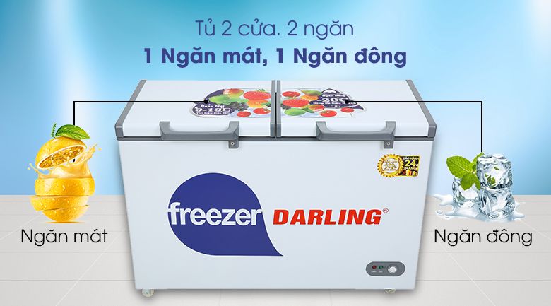 Tủ Đông DMF-3999W2 - 2 Ngăn Darling