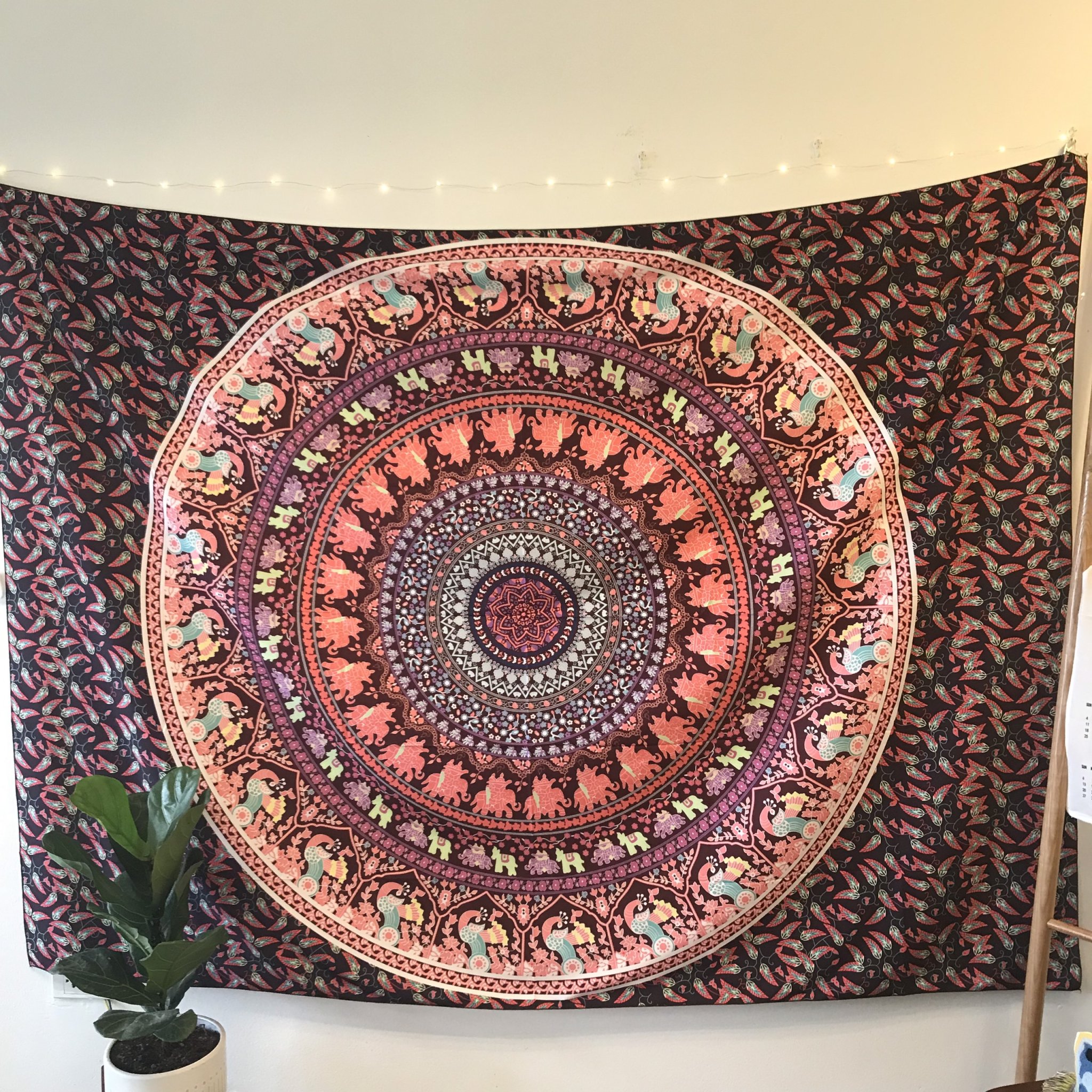  MANDALA canvas paintings 