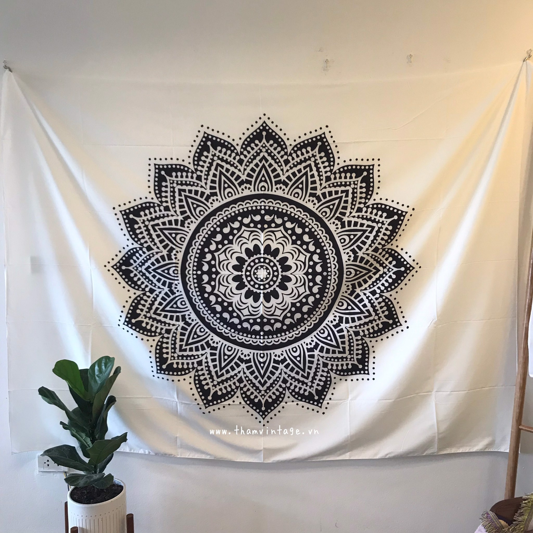  MANDALA canvas paintings 