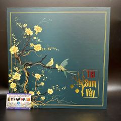 Những mẫu túi quà đựng Tết cao cấp - sang trọng