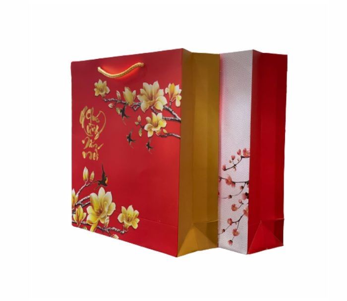 MẪU TÚI ĐỰNG QUÀ TẾT IN LẤY NGAY ĐỦ SIZE CÓ SẴN TẠI HÀ NỘI