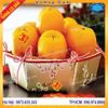 Hộp tết đựng trái cây