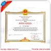 In chứng chỉ nhanh nhất tại Hoàn Kiếm