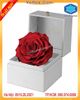 Bán hộp đựng hoa đẹp có sẵn 178 Tây Sơn