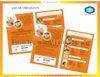 Mẫu brochure đẹp nhất