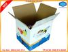 Thùng giấy Carton đựng đồ có sẵn