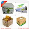 Xưởng Làm Hộp Carton Đựng Trái Cây